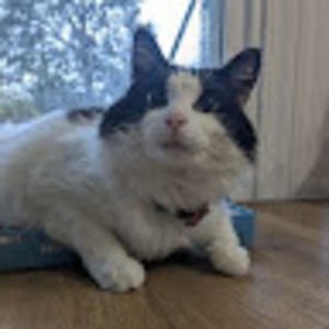 Meet your Posher, Eliza